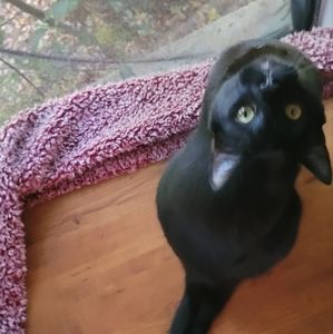 Meet your Posher, Jai